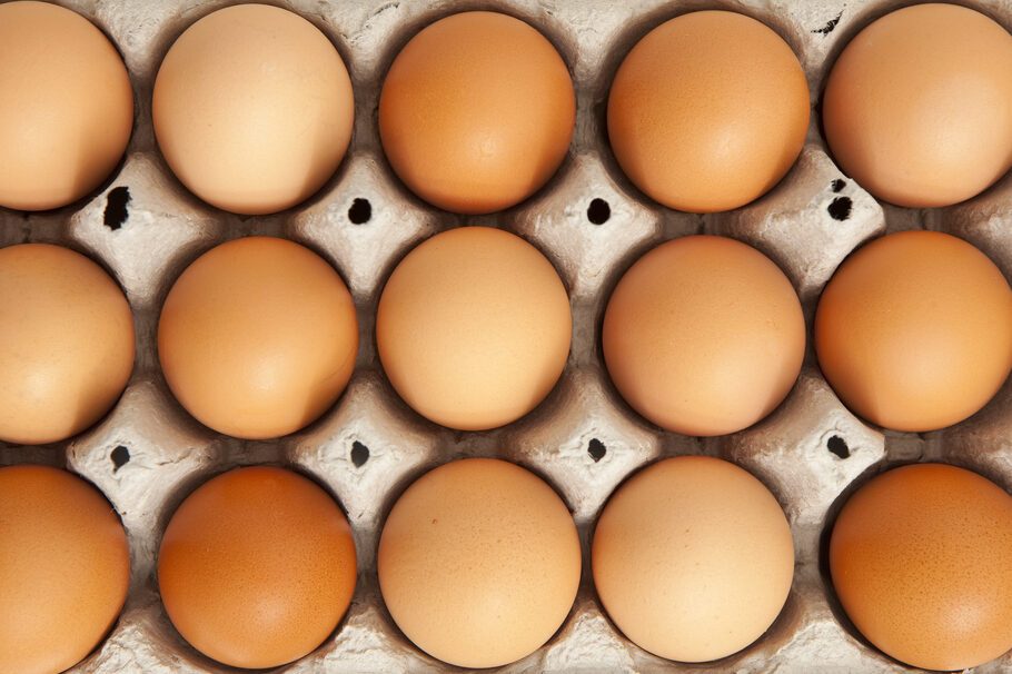 Why Are Brown Eggs More Expensive Than White Eggs?