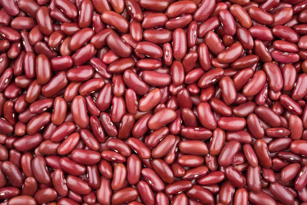 red kidney bean