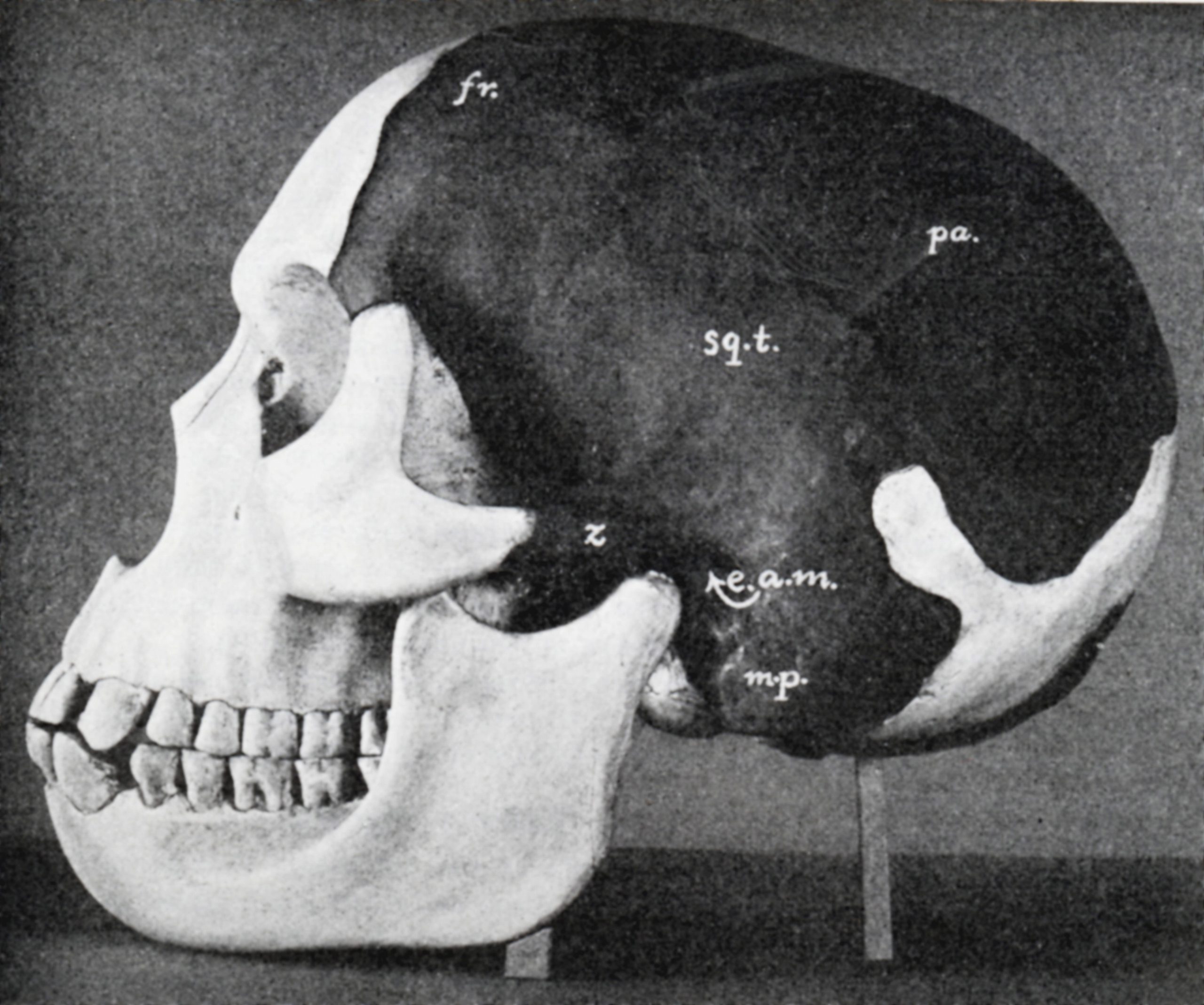12 Famous Hoaxes That (Almost) Fooled Everyone