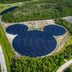 What Are Disney’s Hidden Mickeys—And How Can You Find Them?