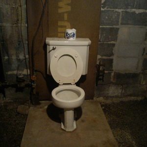 Toilet with lid up stands against rough concrete walls; a roll of Scott toilet paper rests on the tank.