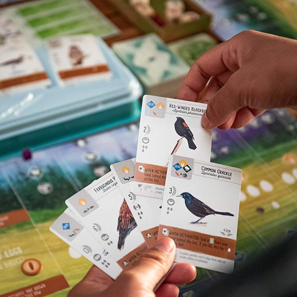 Wingspan board game