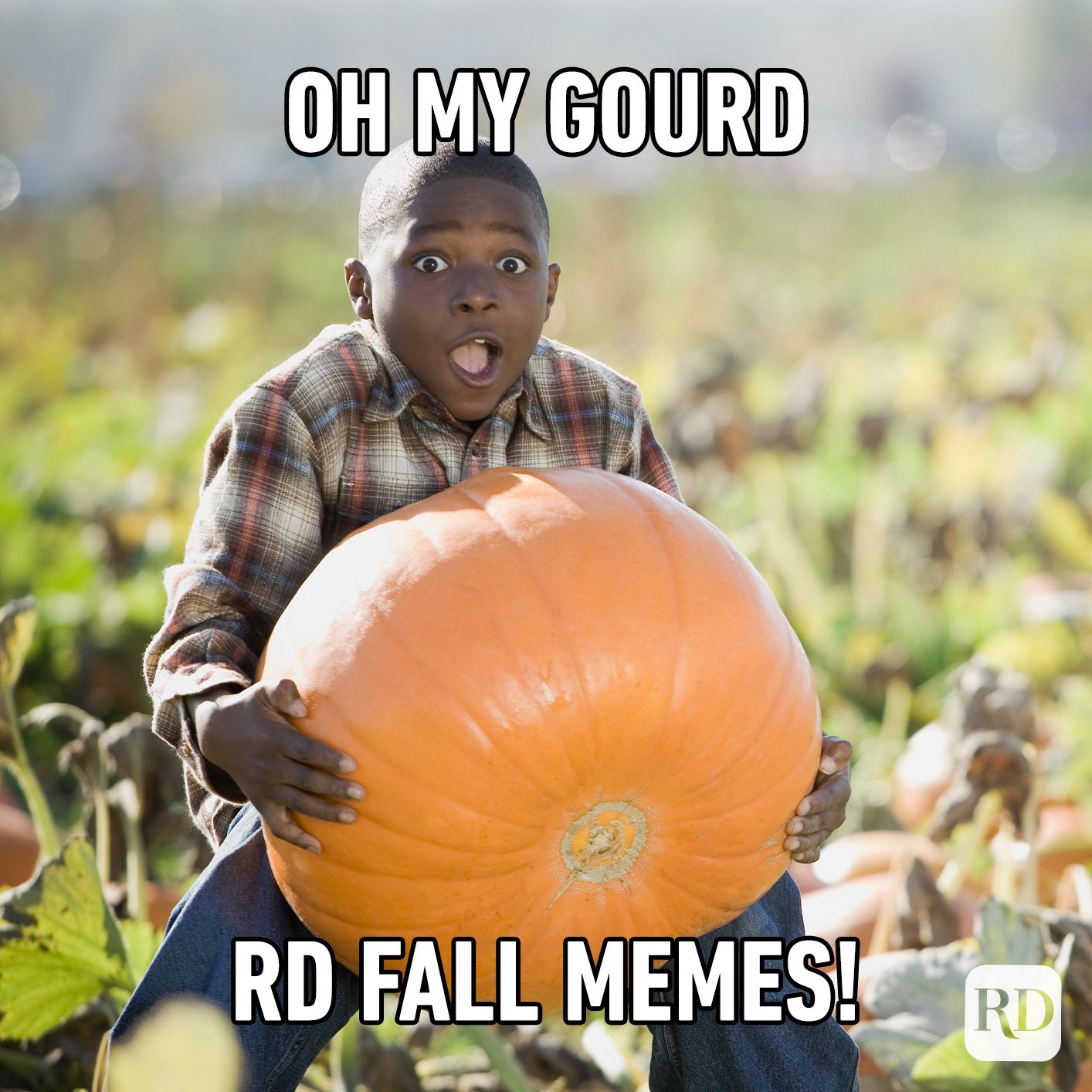 40 Funny Fall Memes That Perfectly Sum Up Autumn’s Humor