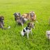 12 Steps to Dealing With Bad Neighbors
