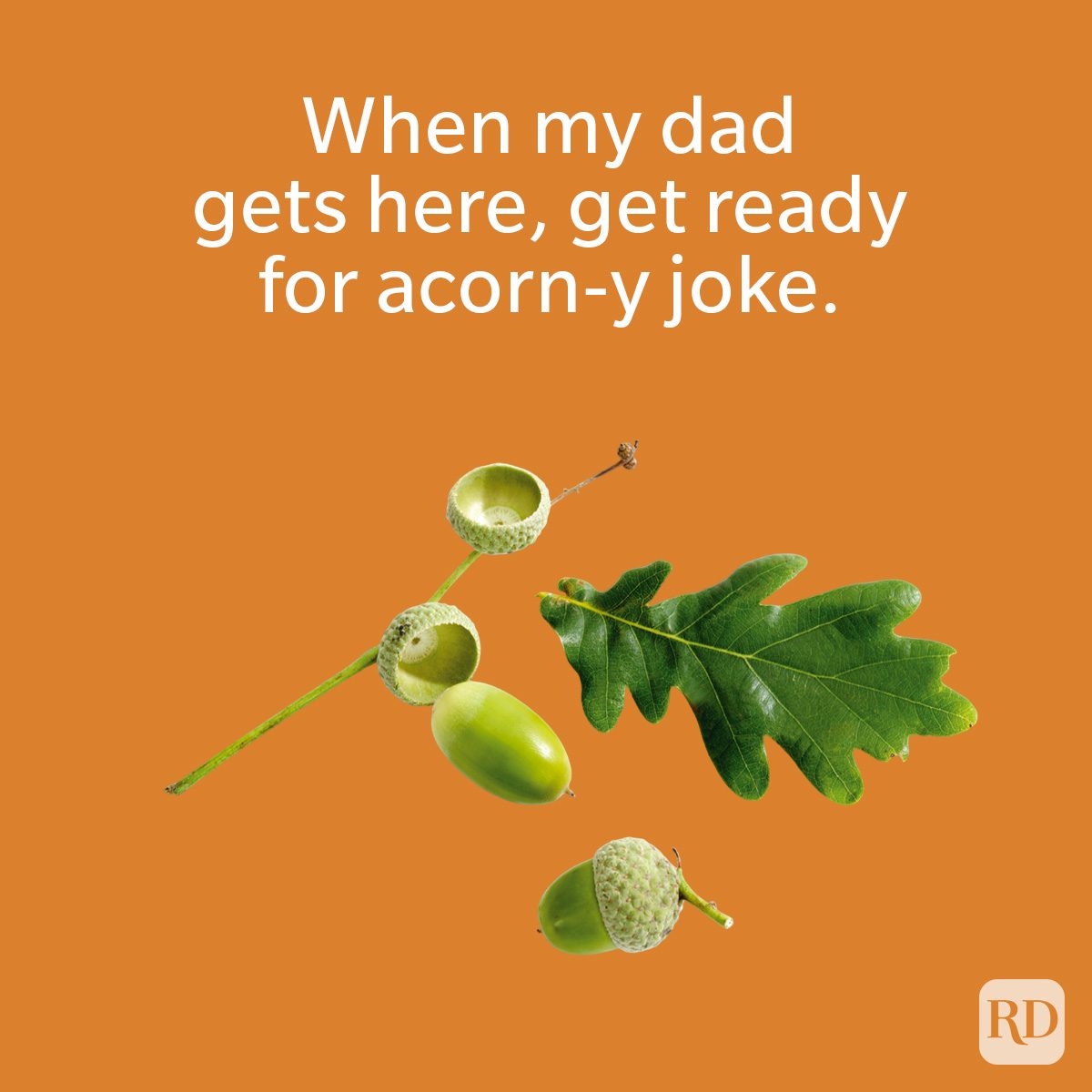 130 Fall Puns That’ll Give You a Gourd Reason to Laugh This Season