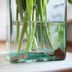Here's Why People Put Pennies in Flower Vases
