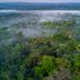 15 Amazing Facts About the Amazon Rainforest