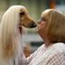 New Report: It's Becoming More Expensive to Own a Dog—You'll Be Shocked by Exactly How Much