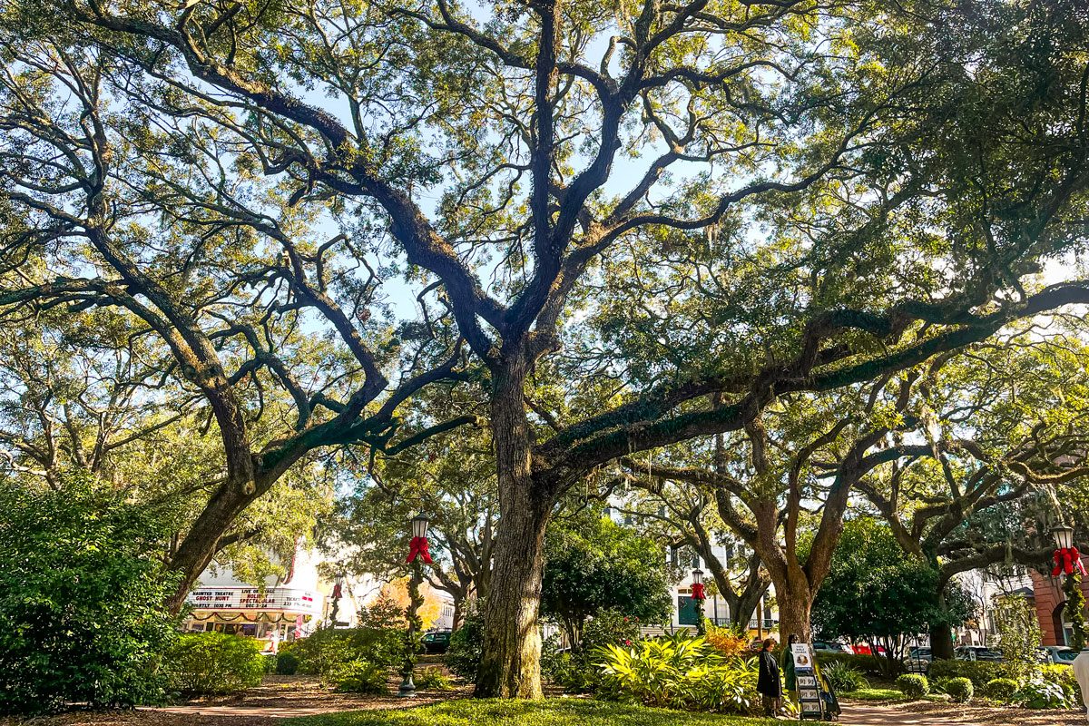 The Best Time to Visit Savannah, Georgia, for Great Weather and an Unforgettable Trip