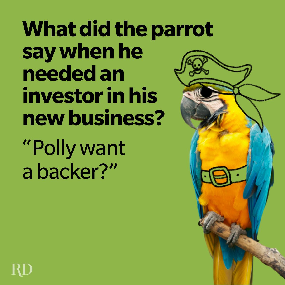 Funniest Pirate Jokes
