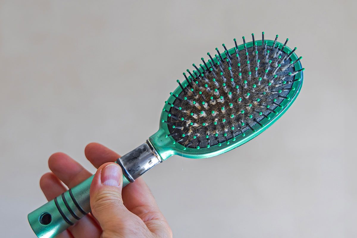 Here’s What the Gray Fuzz Is on Your Hairbrush—It’s Grosser Than You Think
