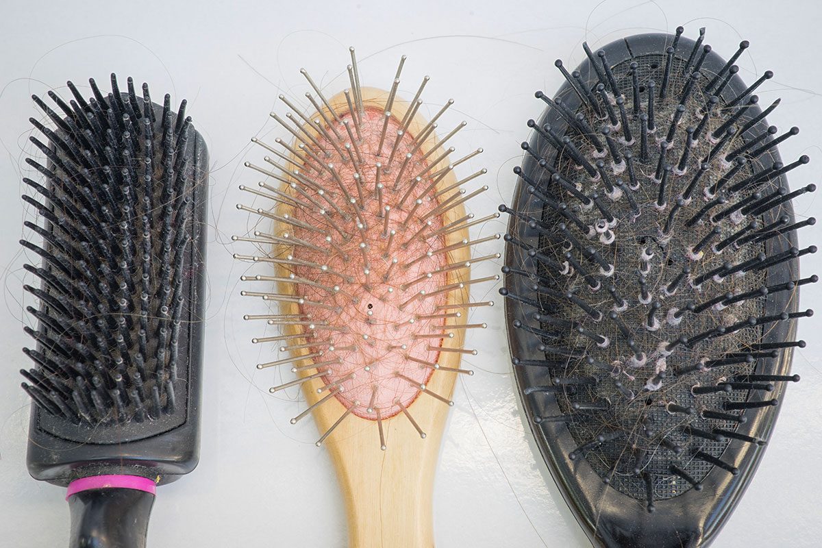 Gray Fuzz Is On Your Hairbrush Gettyimages 540524394