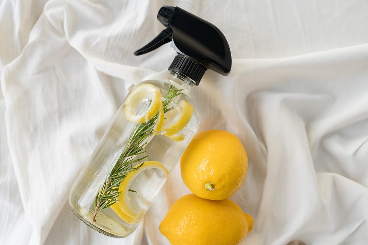 Home Remedies for Fleas: 11 Easy Tips Worth Trying